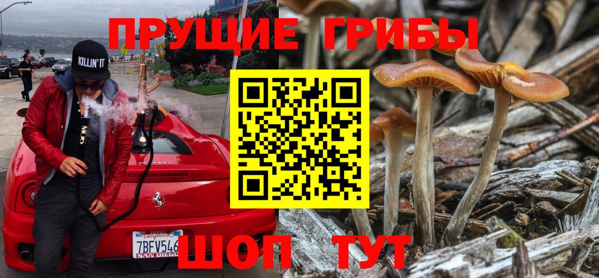 Ижевск  Псилоцибиновые грибы Magic Shrooms  Вход с VPN 