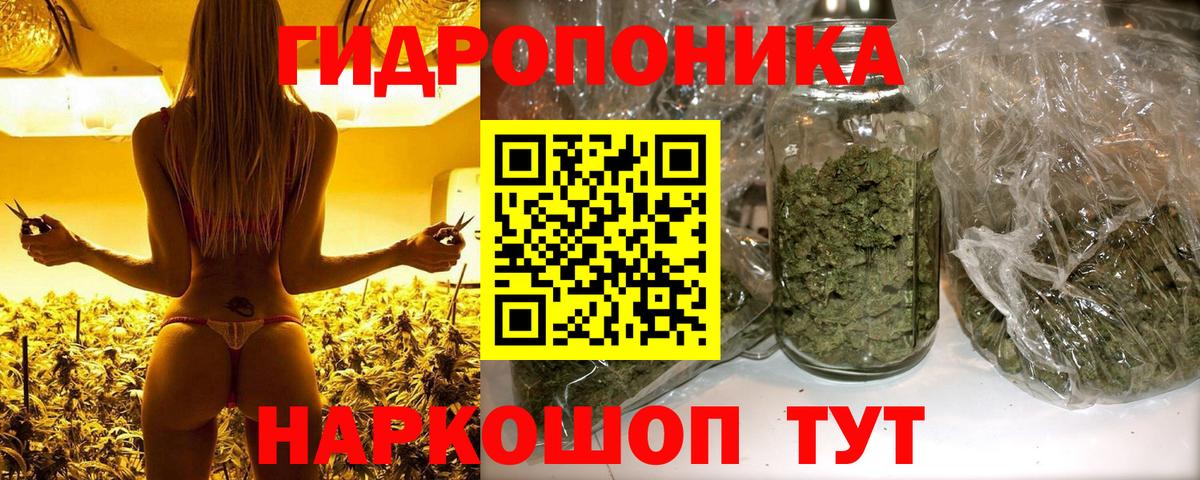 Шишки марихуана конопля Ижевск